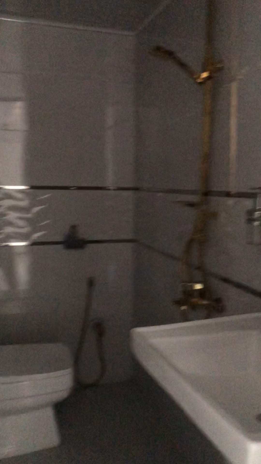 IMG_0130.00_01_26_10.Still005